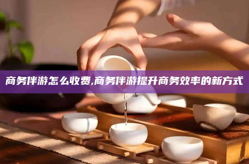 黄石商务伴游怎么收费,商务伴游提升商务效率的新方式